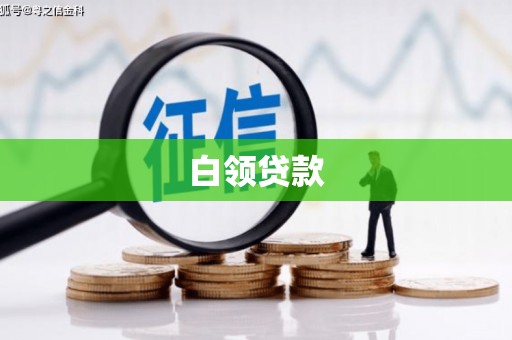 中区白领贷款