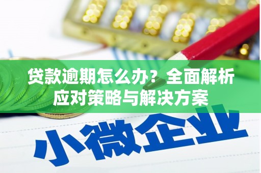中区贷款逾期怎么办？全面解析应对策略与解决方案
