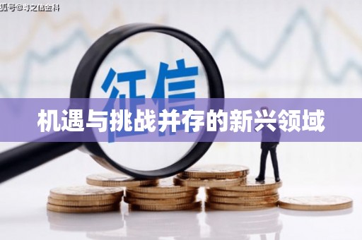 中区机遇与挑战并存的新兴领域