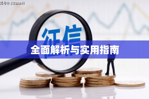 中区全面解析与实用指南