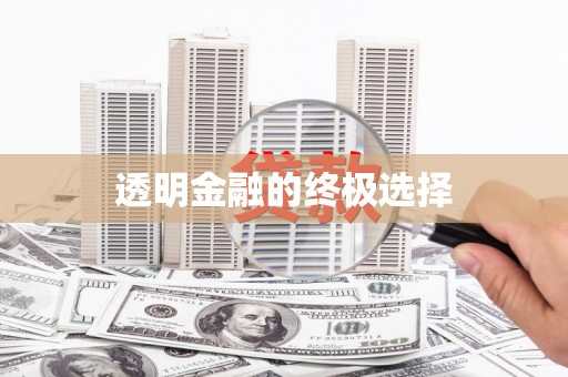 中区透明金融的终极选择