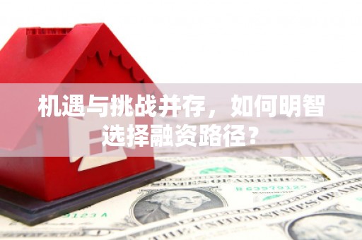 中区机遇与挑战并存，如何明智选择融资路径？