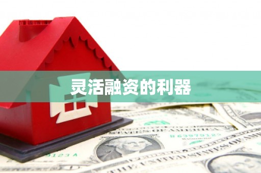 中区灵活融资的利器