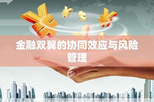 中区金融双翼的协同效应与风险管理