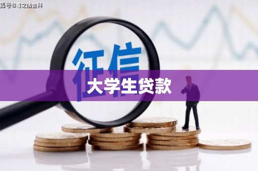 中区大学生贷款