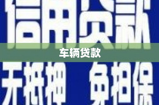 中区车辆贷款