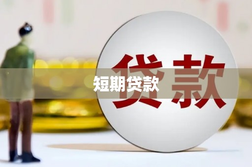 中区短期贷款